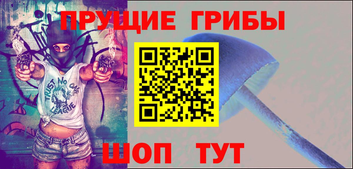 Галлюциногенные грибы Psilocybine cubensis Керчь