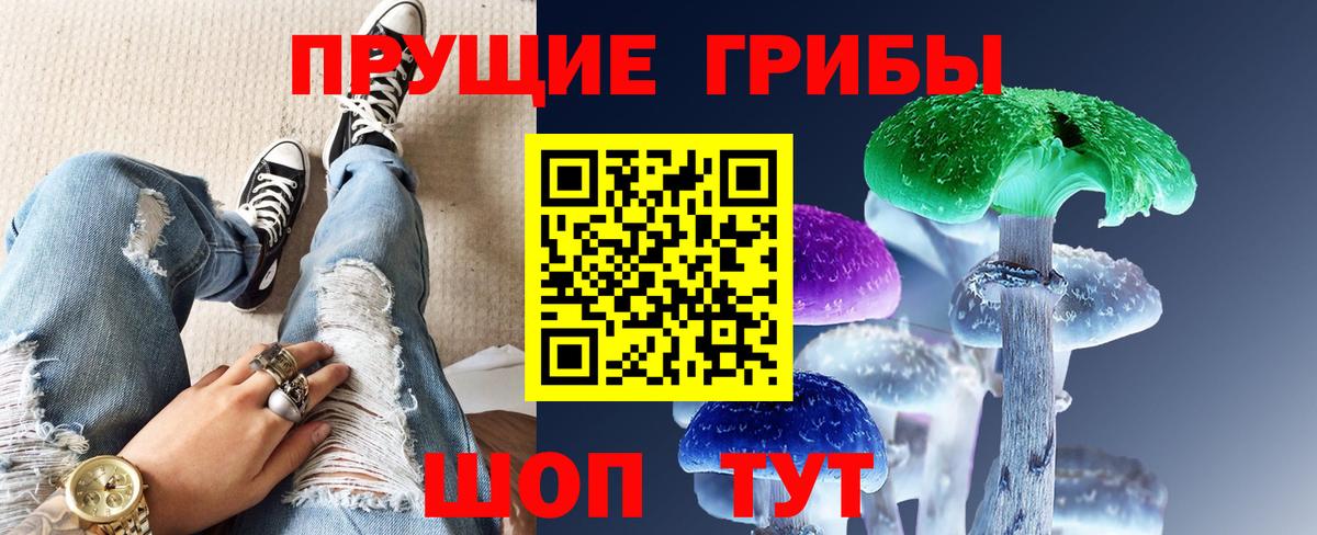 Галлюциногенные грибы прущие грибы  купить наркоту  Керчь  Галлюциногенные грибы GOLDEN TEACHER  Вход с VPN 